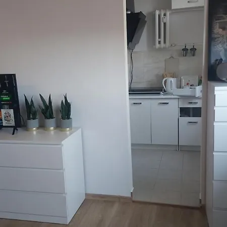 Apartament 9 PIĘTRO Stary Toruń Zewnętrze zdjęcie